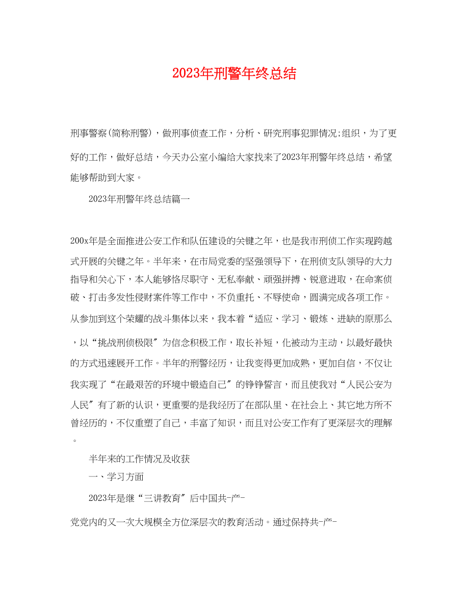 2023年刑警终总结范文.docx_第1页