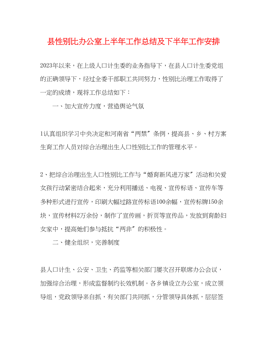 2023年县性别比办公室上半工作总结及下半工作安排范文.docx_第1页