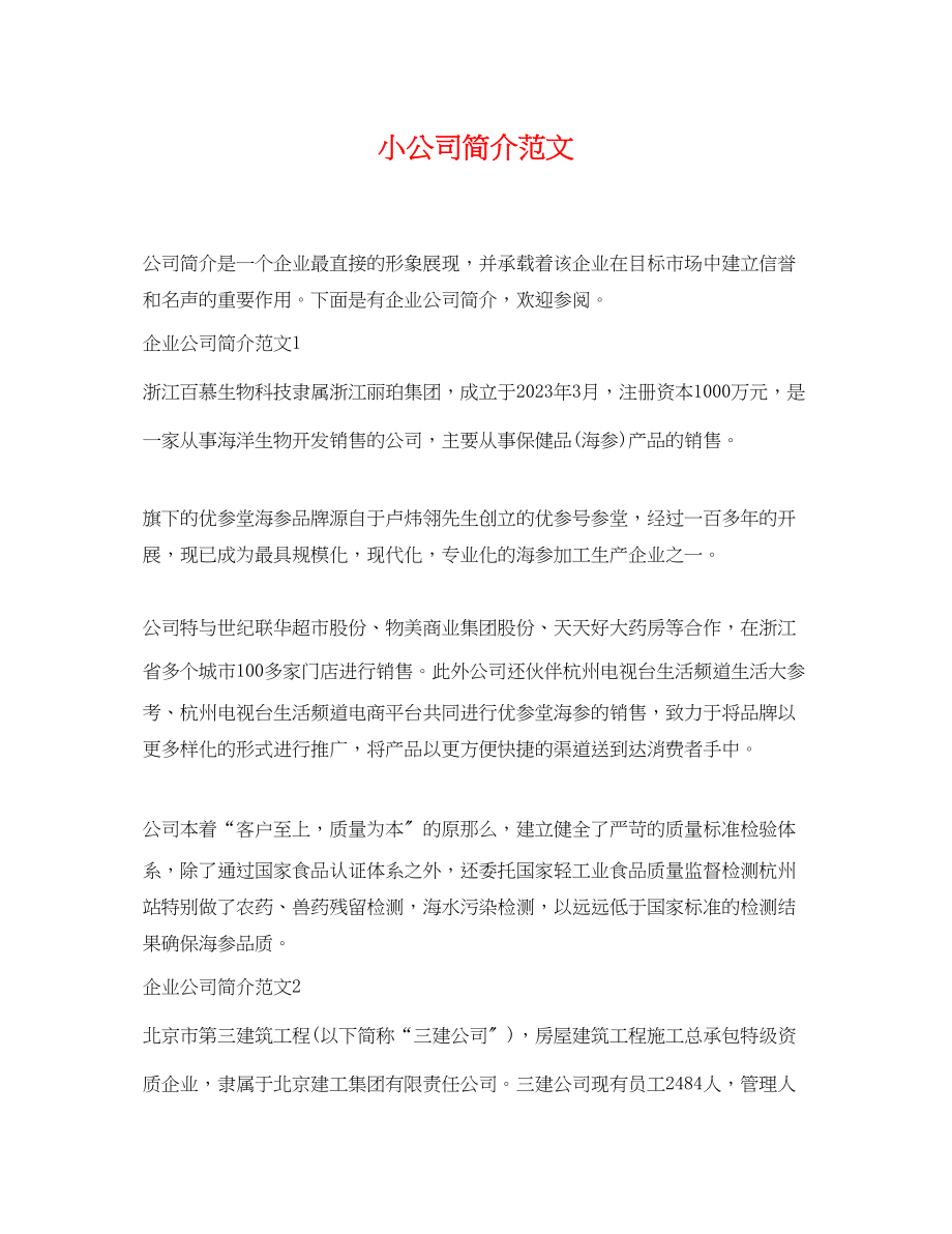 2023年小公司简介范文.docx_第1页