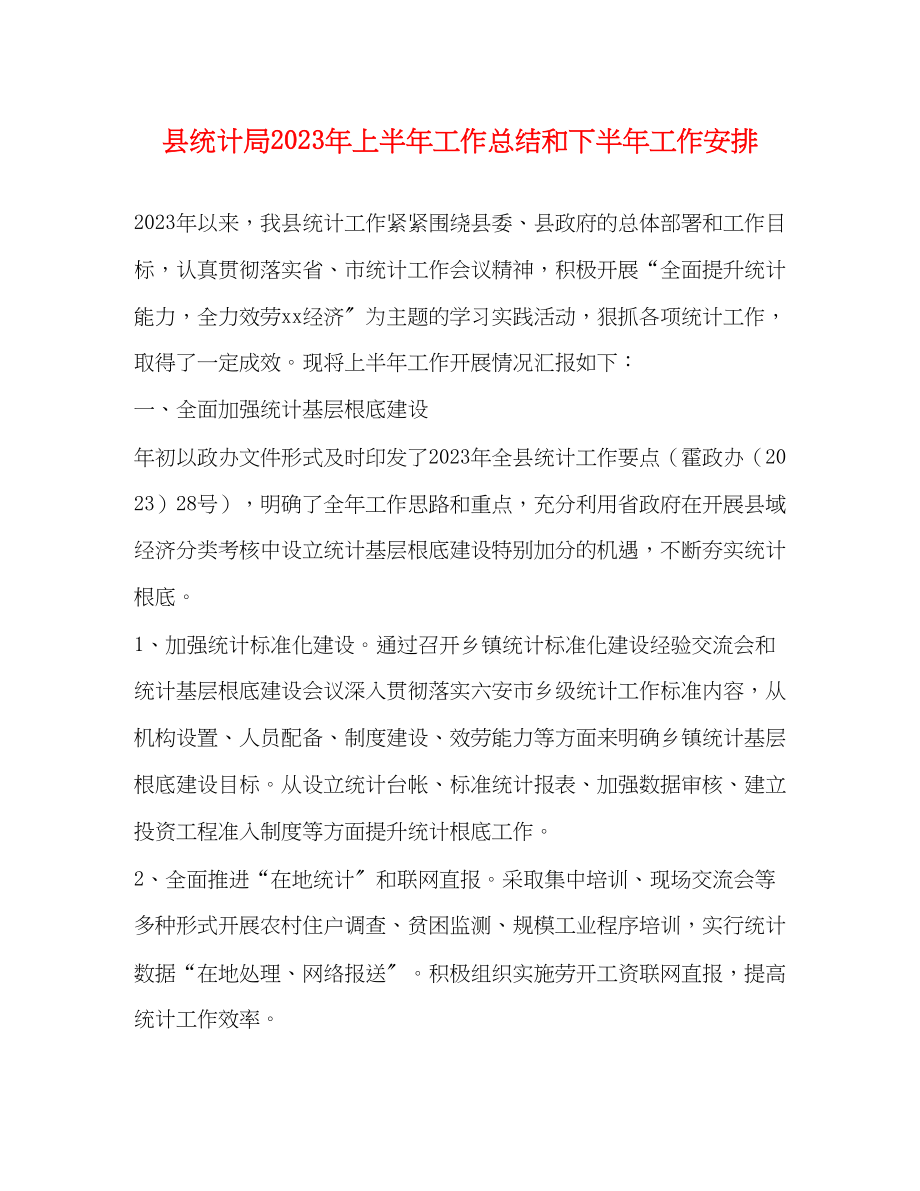 2023年县统计局上半工作总结和下半工作安排范文.docx_第1页