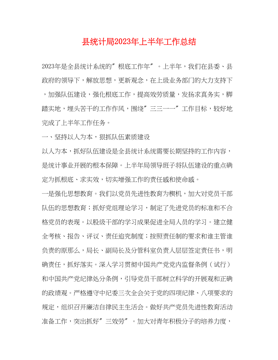 2023年县统计局上半工作总结范文.docx_第1页