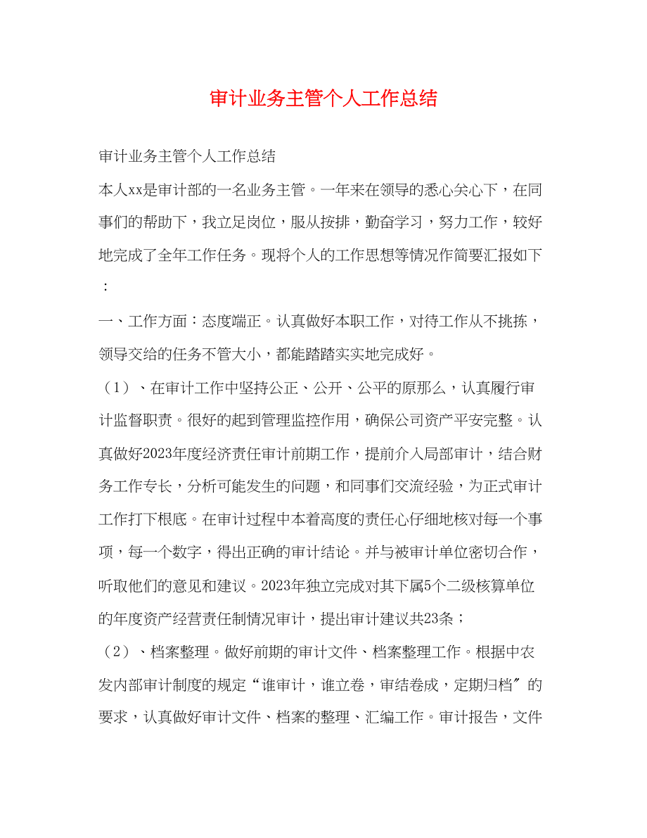 2023年审计业务主管个人工作总结范文.docx_第1页