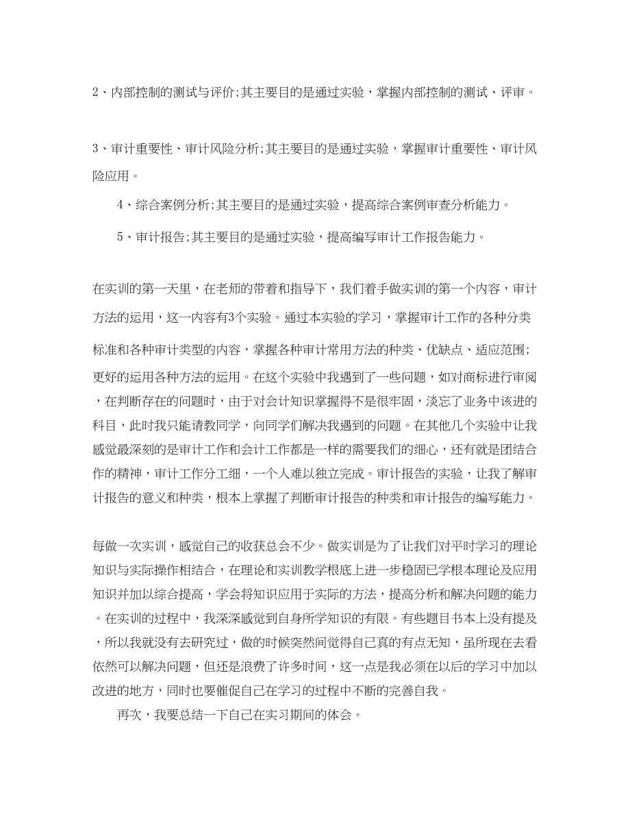 2023年审计岗位实习工作总结报告范文.docx_第2页