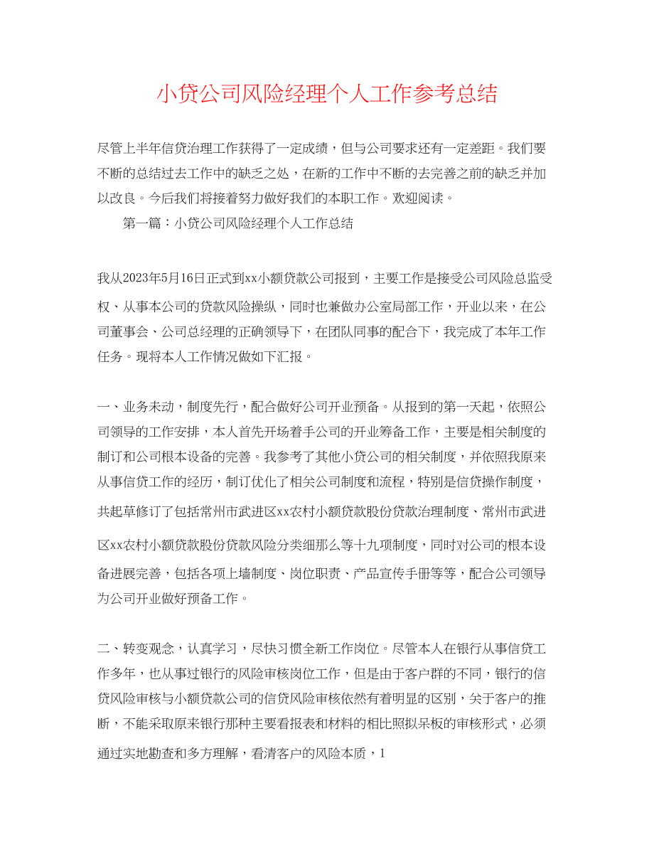 2023年小贷公司风险经理个人工作总结.docx_第1页