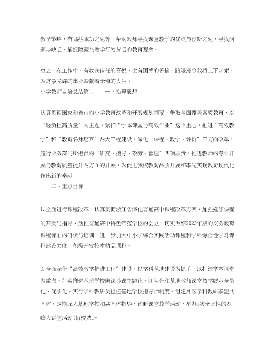 2023年小学教师自培总结范文.docx_第3页