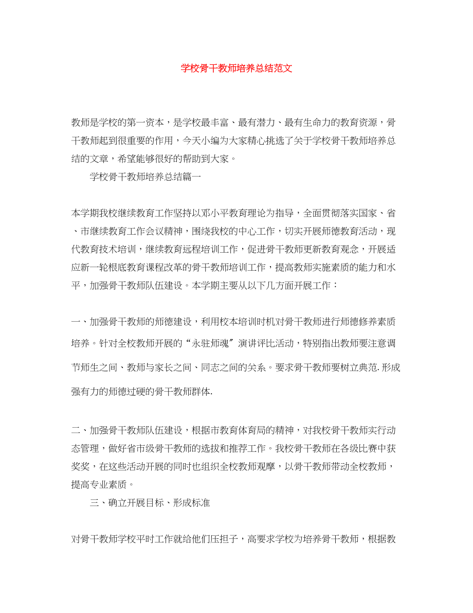 2023年学校骨干教师培养总结范文.docx_第1页