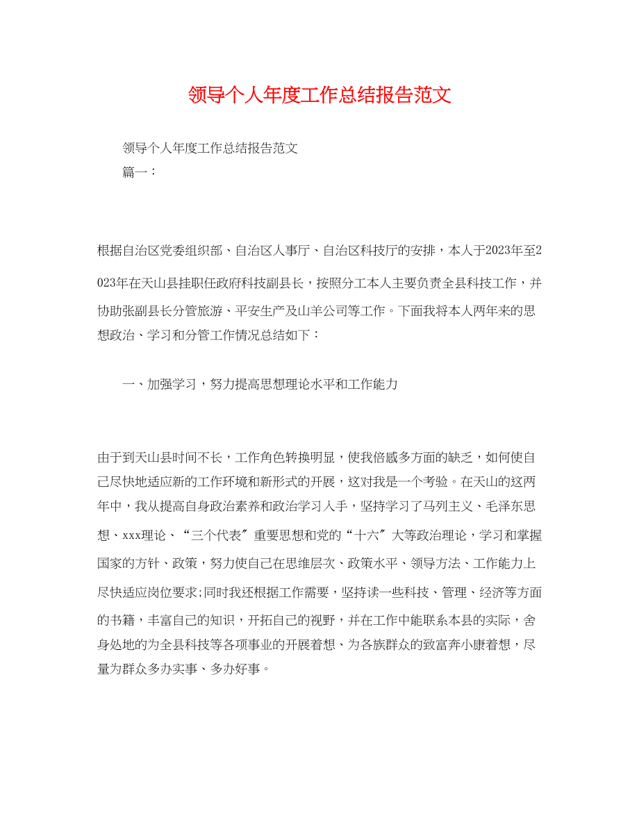 2023年工作总结领导个人年度工作总结报告范文.docx_第1页