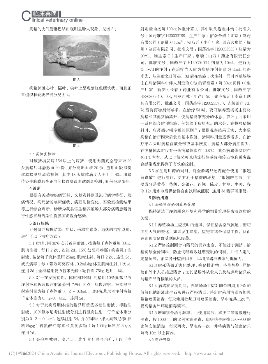 对一起猪流感与传染性胸膜肺炎混合感染诊治的浅析_杨军.pdf_第2页