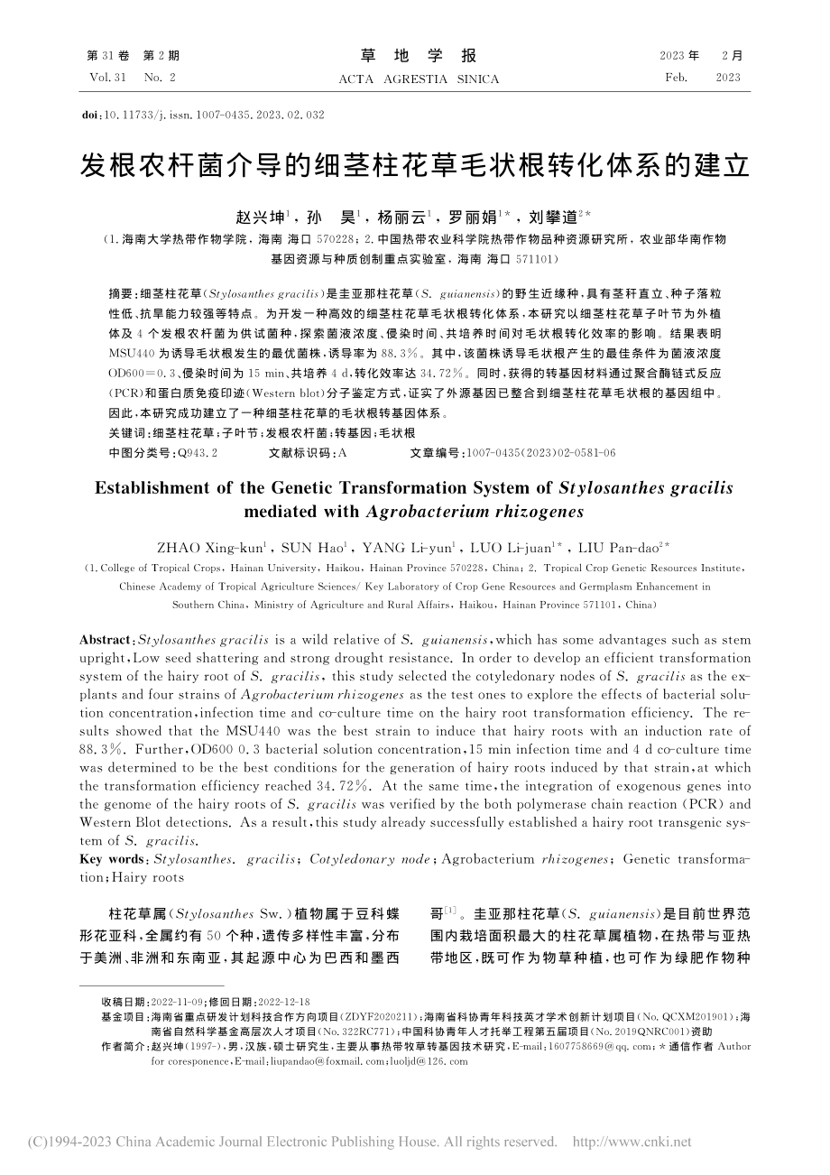 发根农杆菌介导的细茎柱花草毛状根转化体系的建立_赵兴坤.pdf_第1页