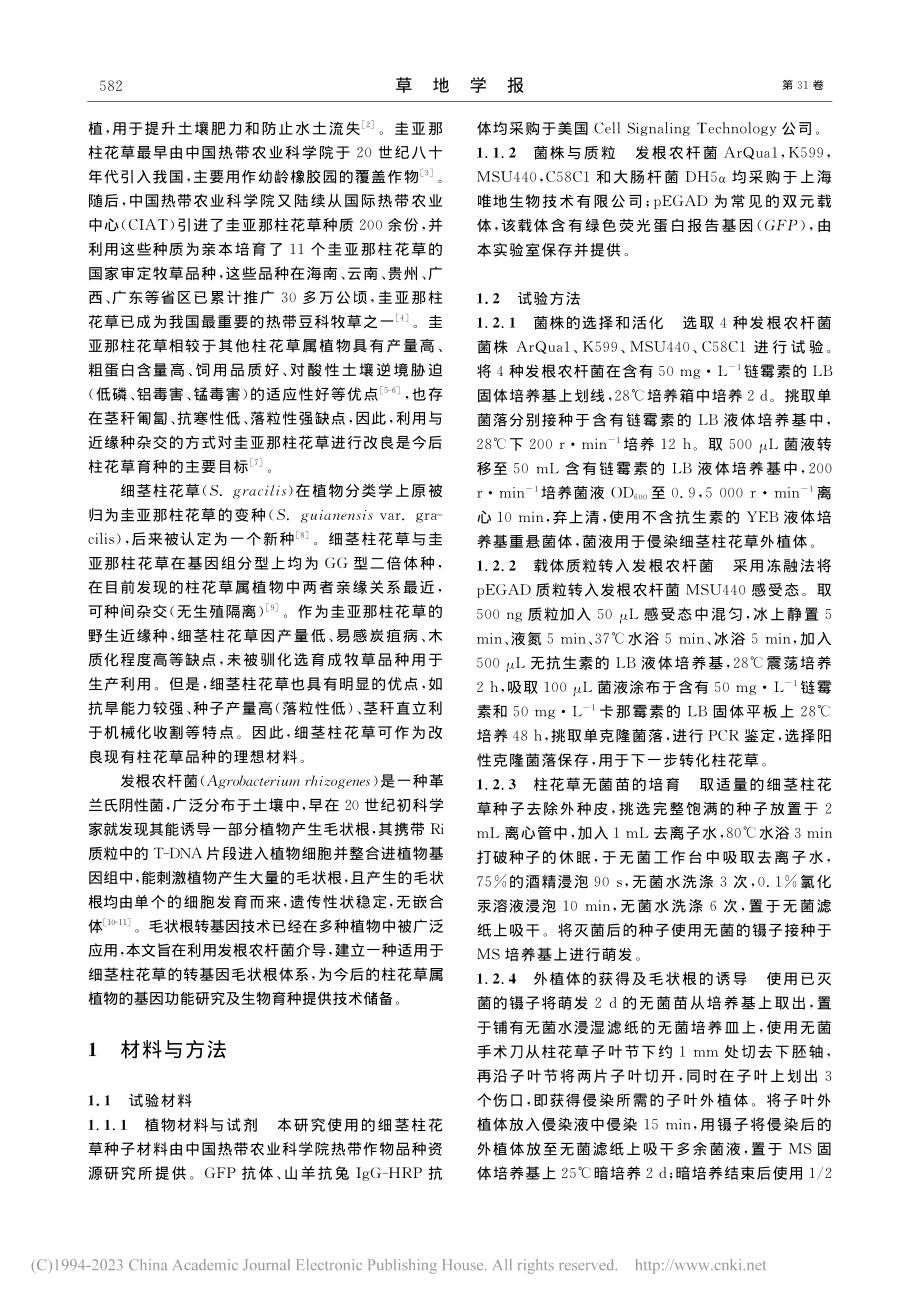 发根农杆菌介导的细茎柱花草毛状根转化体系的建立_赵兴坤.pdf_第2页