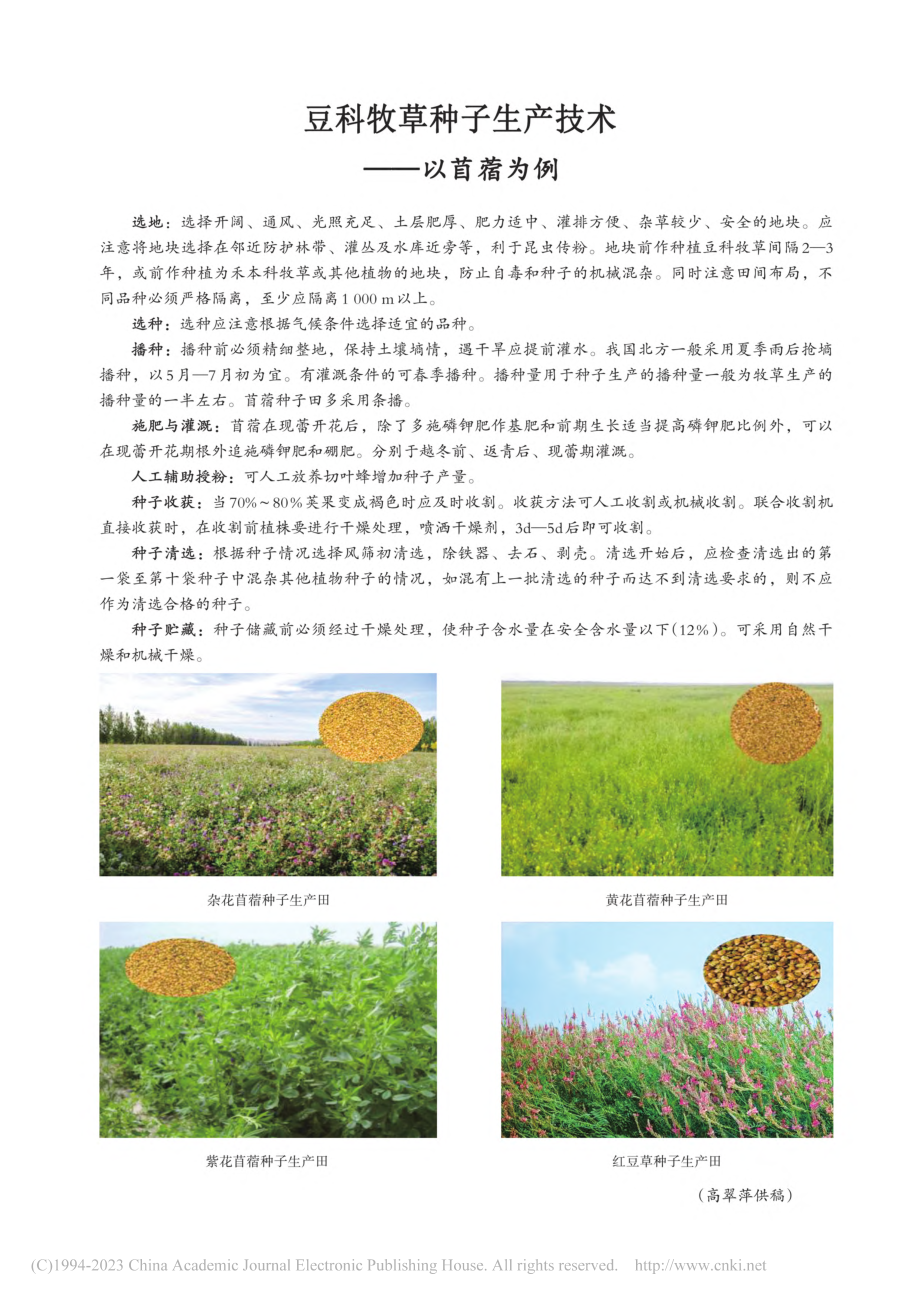 豆科牧草种子生产技术——以苜蓿为例_高翠萍.pdf_第1页