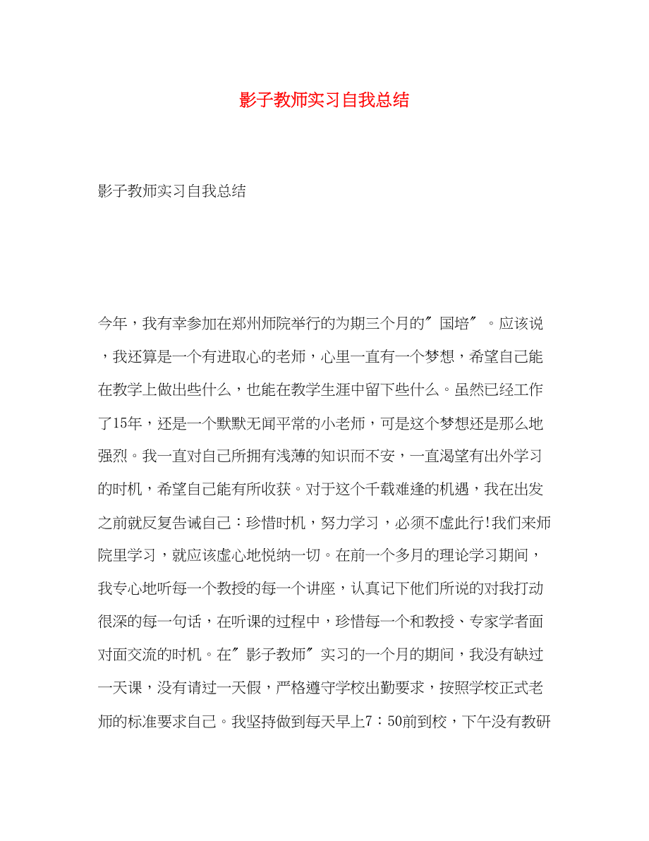 2023年影子教师实习自我总结范文.docx_第1页