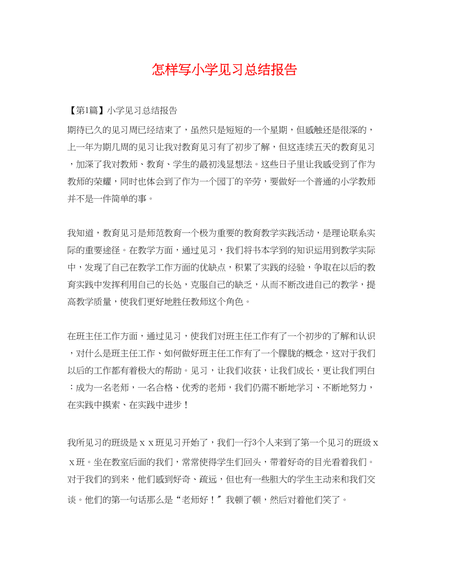 2023年怎样写小学见习总结报告范文.docx_第1页