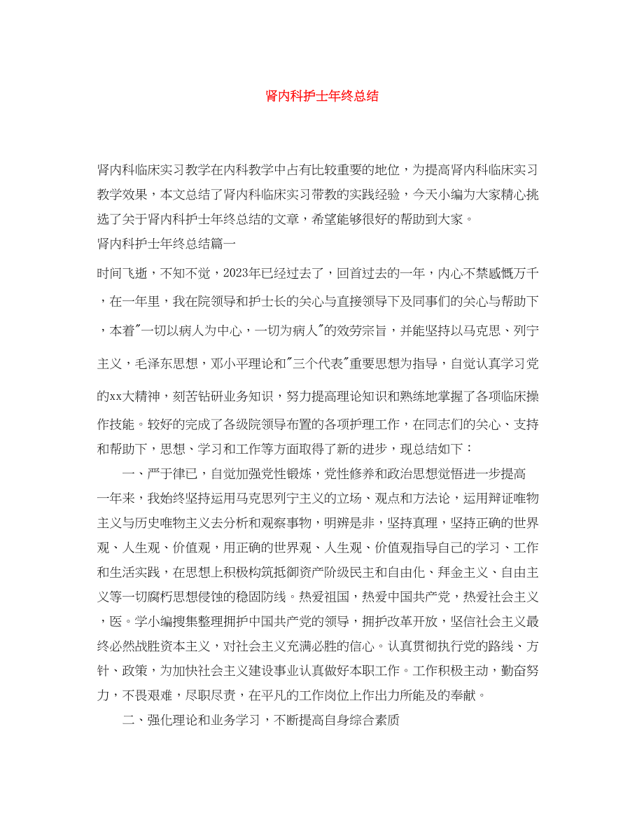 2023年肾内科护士终总结范文.docx_第1页