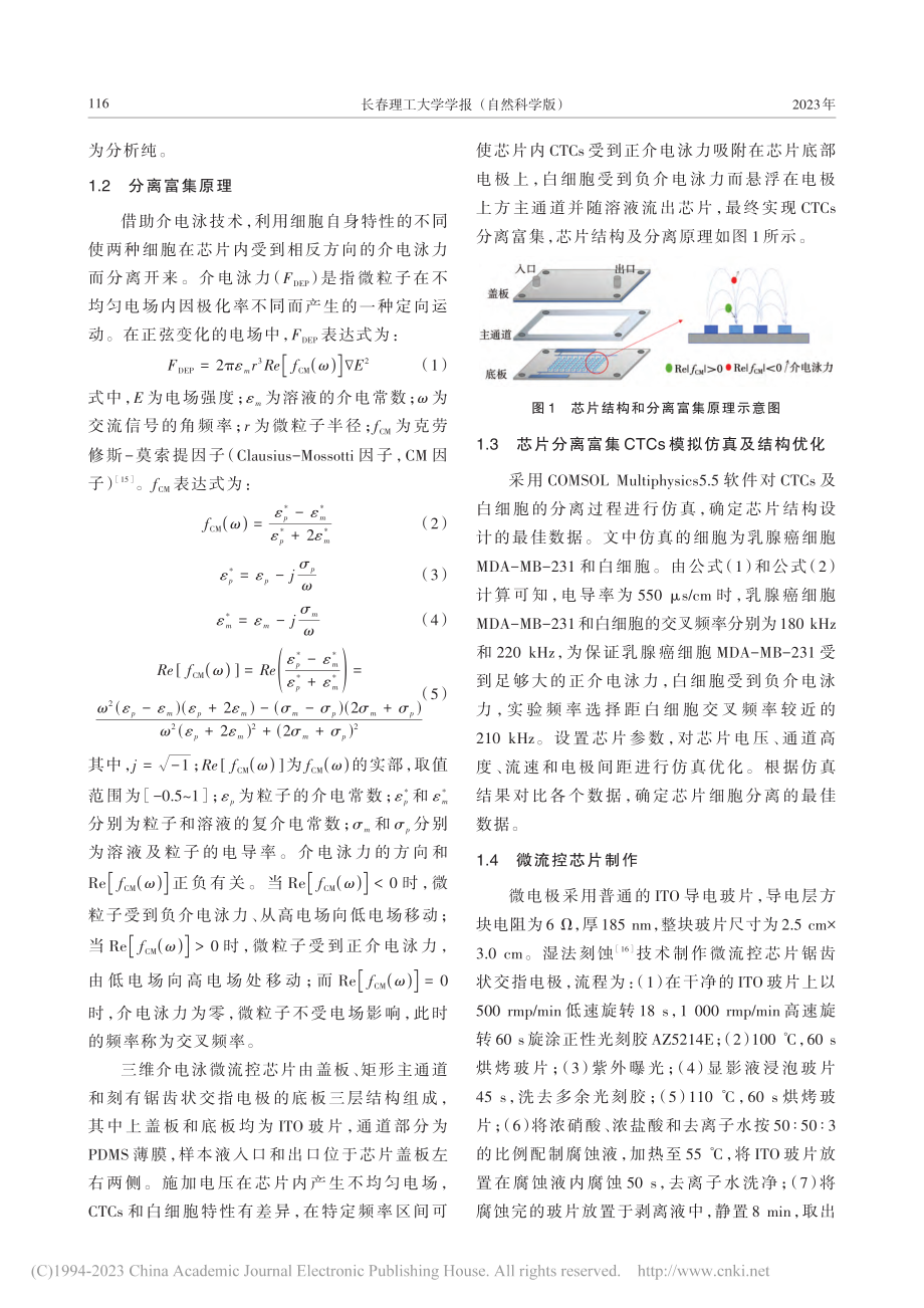 分离富集循环肿瘤细胞的三维介电泳微流控芯片研究_江林霞.pdf_第3页