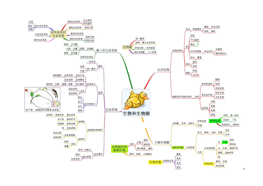 初中生物-思维导图（7图）.pdf_第1页