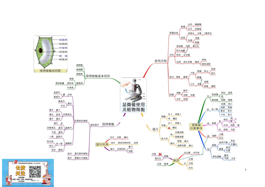 初中生物-思维导图（7图）.pdf_第2页