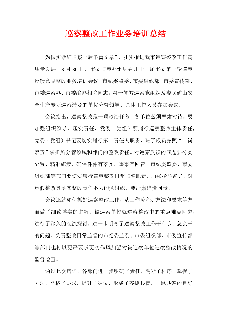 巡察整改工作业务培训总结.docx_第1页