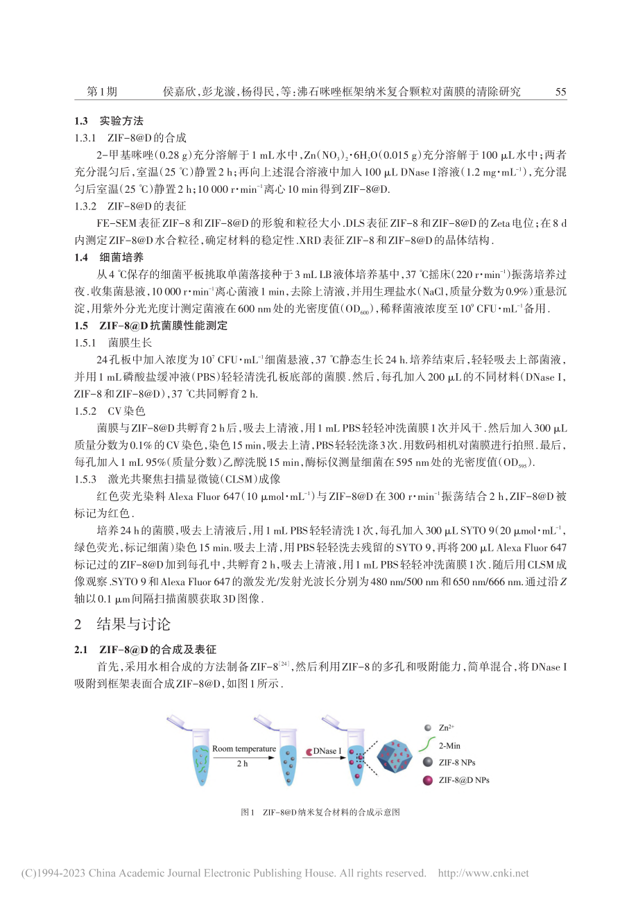 沸石咪唑框架纳米复合颗粒对菌膜的清除研究_侯嘉欣.pdf_第3页