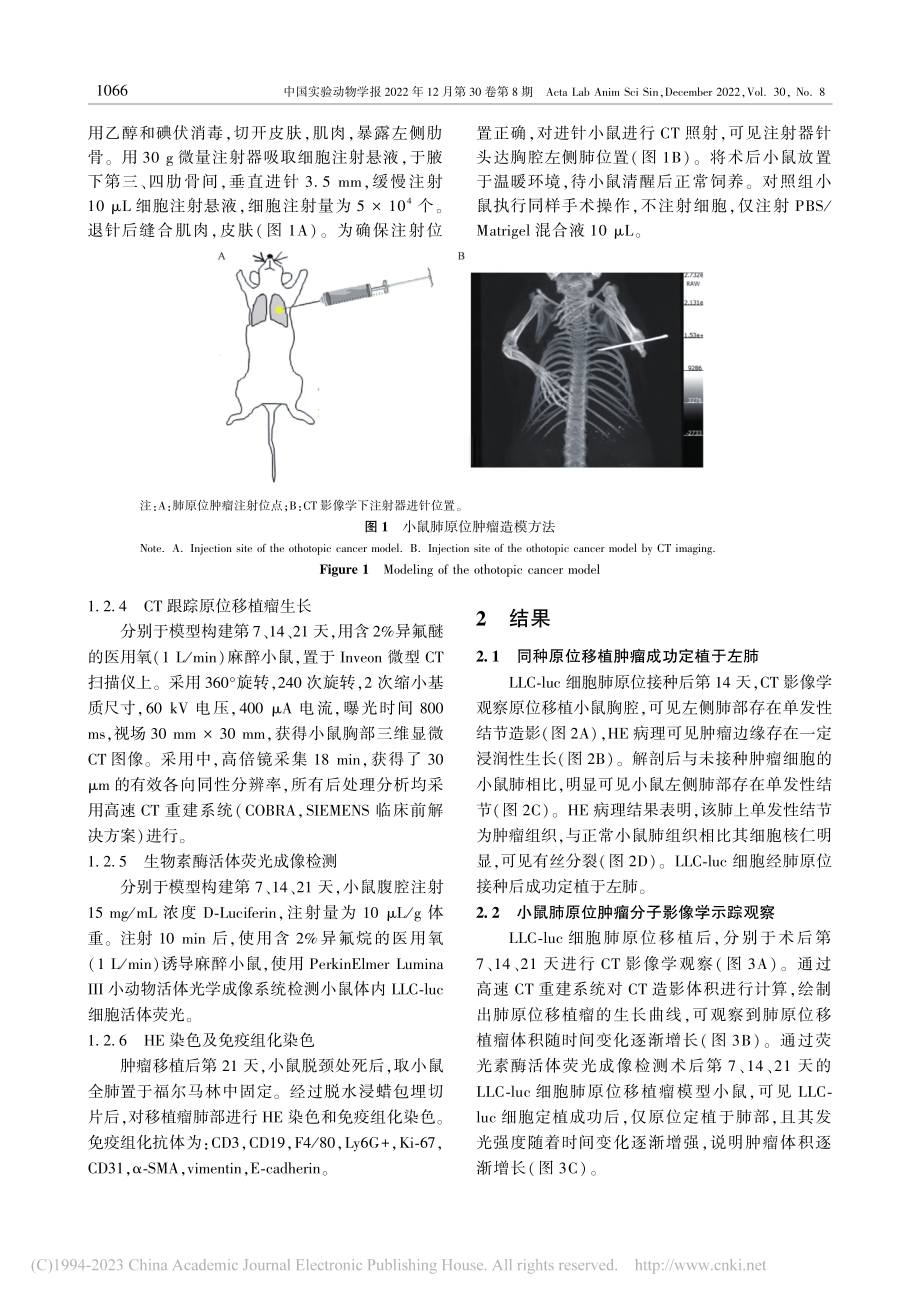 肺原位移植瘤小鼠模型的建立_杨星九.pdf_第3页