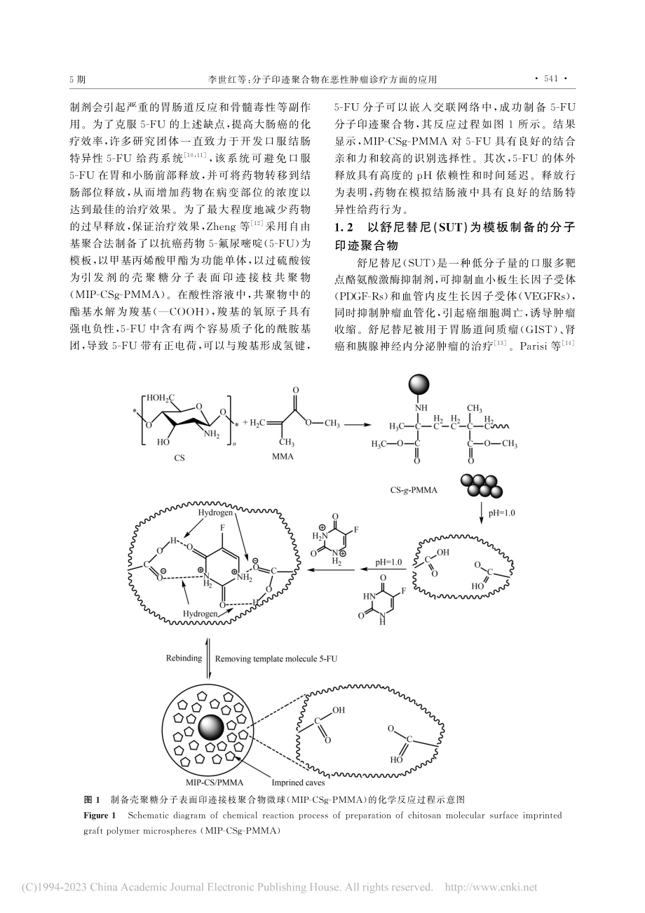 分子印迹聚合物在恶性肿瘤诊疗方面的应用_李世红.pdf_第3页