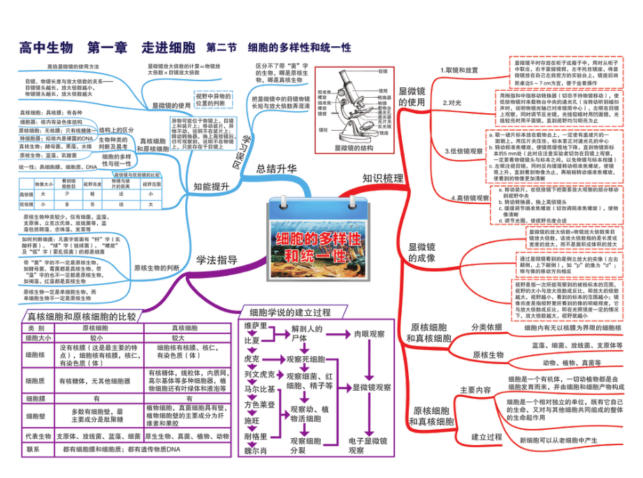 高中生物-思维导图.pdf_第2页