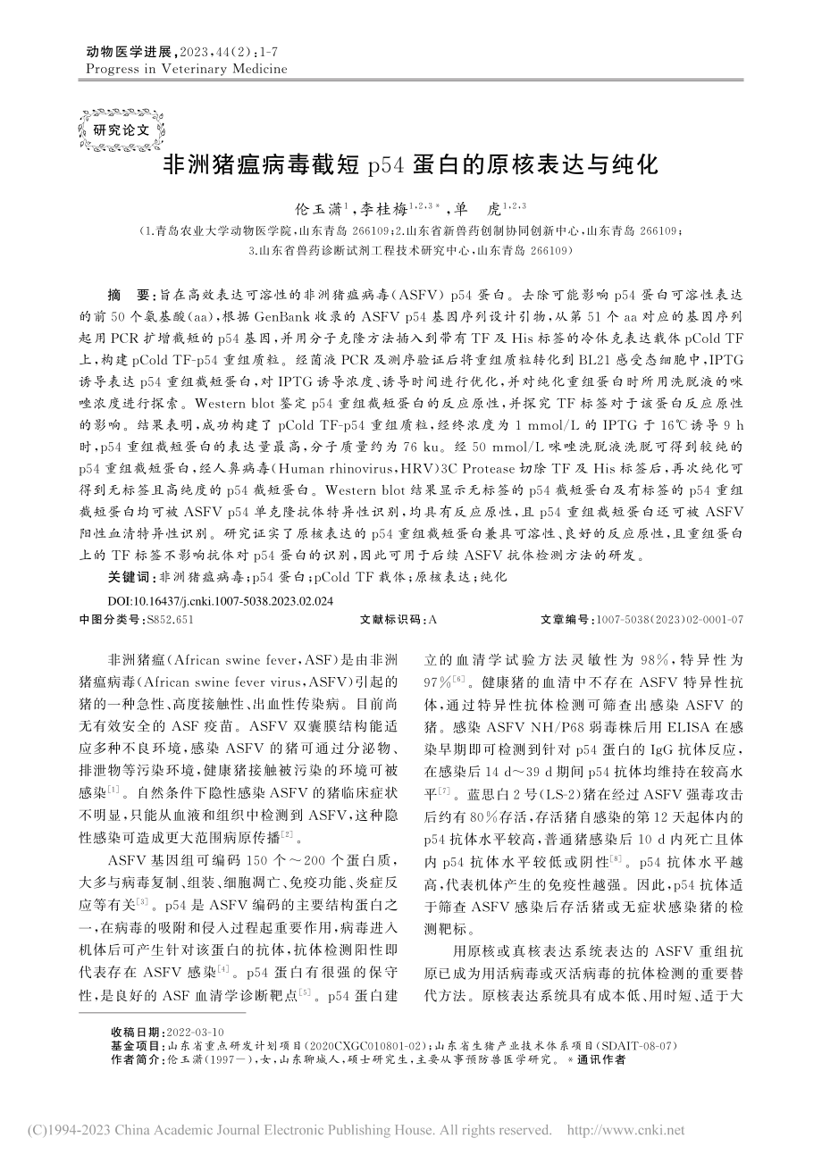 非洲猪瘟病毒截短p54蛋白的原核表达与纯化_伦玉潇.pdf_第1页