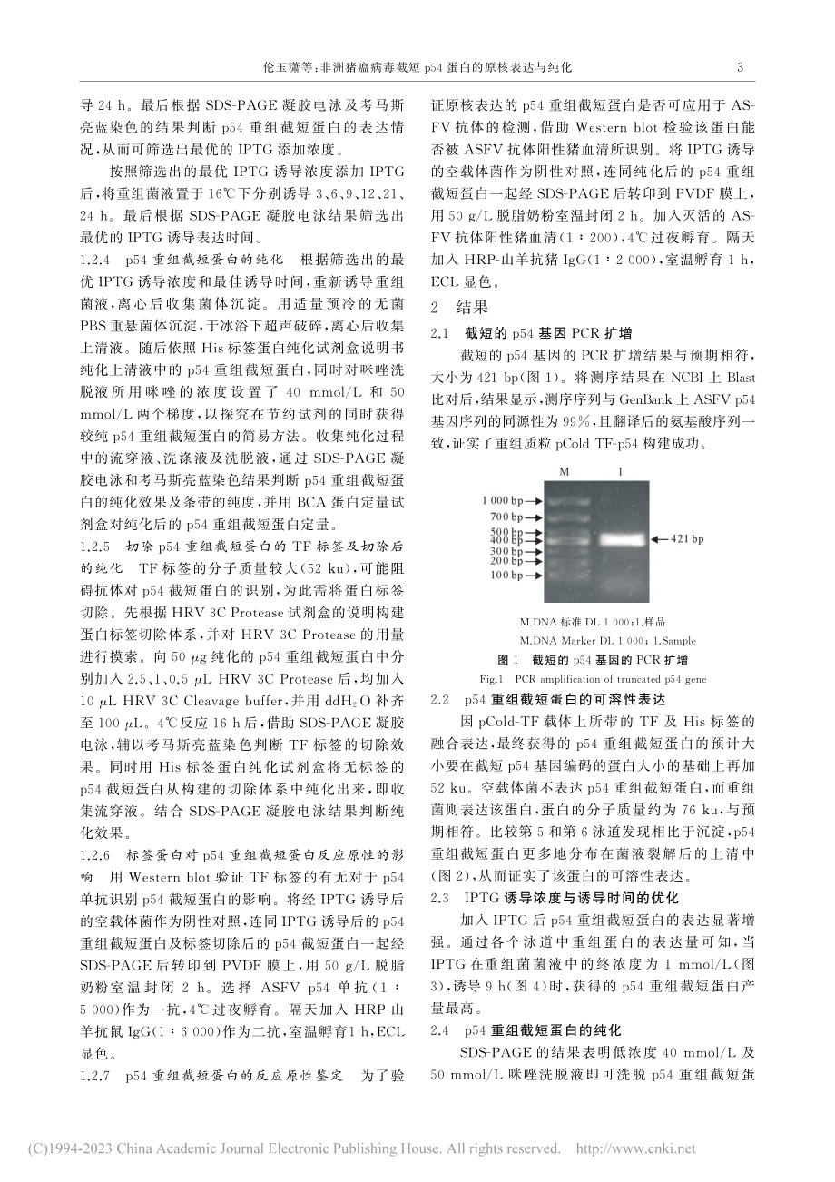 非洲猪瘟病毒截短p54蛋白的原核表达与纯化_伦玉潇.pdf_第3页