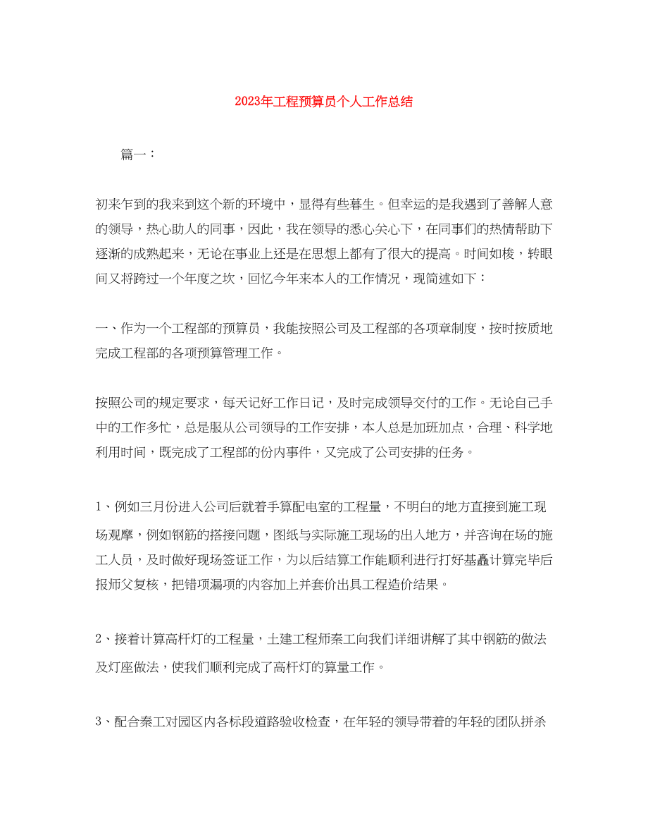 2023年项目预算员个人工作总结范文.docx_第1页