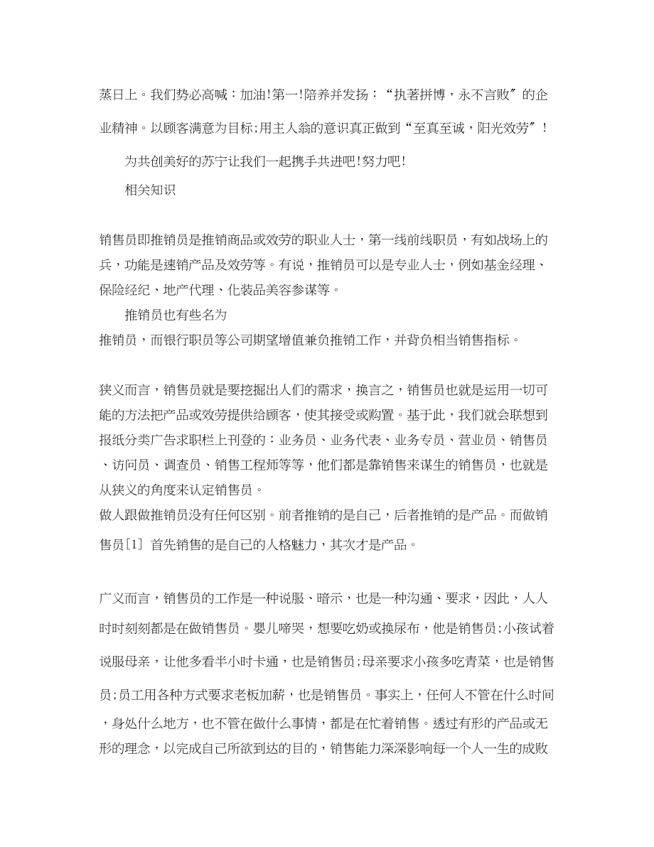 2023年销售员自我总结2范文.docx_第2页