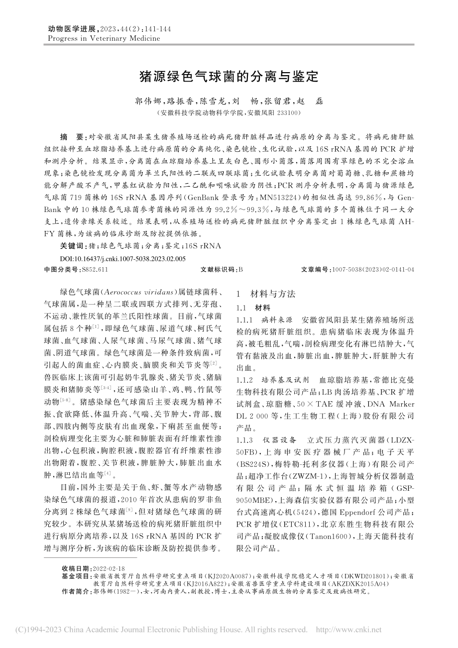 猪源绿色气球菌的分离与鉴定_郭伟娜.pdf_第1页