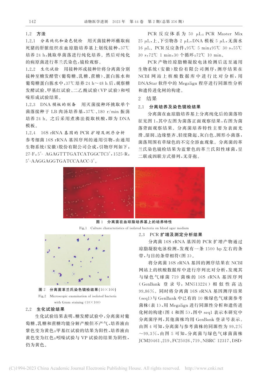 猪源绿色气球菌的分离与鉴定_郭伟娜.pdf_第2页