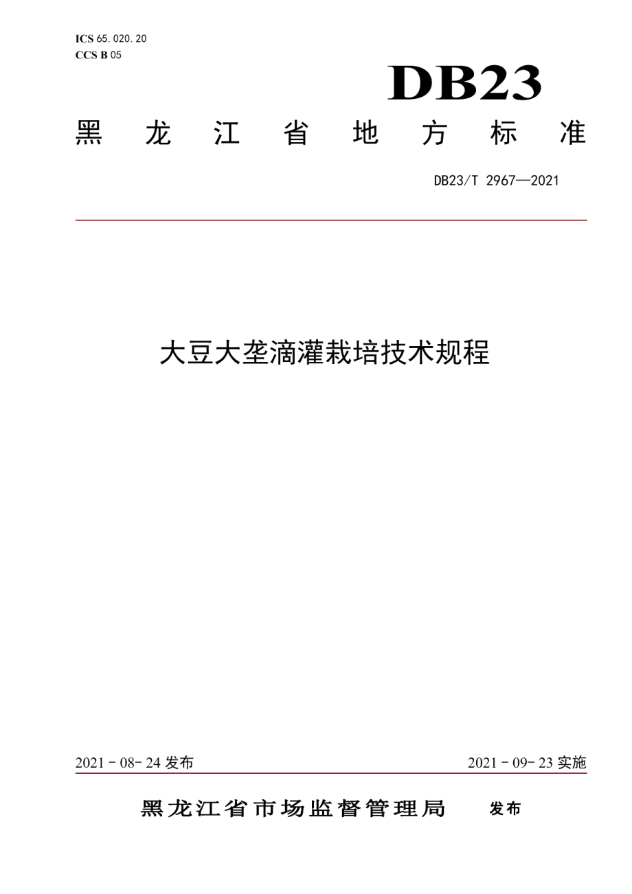 DB23T 2967—2021大豆大垄滴灌栽培技术规程.pdf_第1页