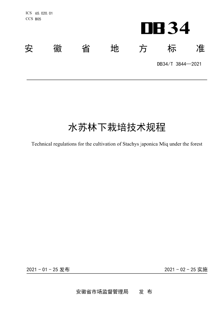 DB34T 3844-2021水苏林下栽培技术规程.pdf_第1页