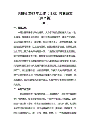 供销社2023年工作（计划）打算范文（共2篇）.docx