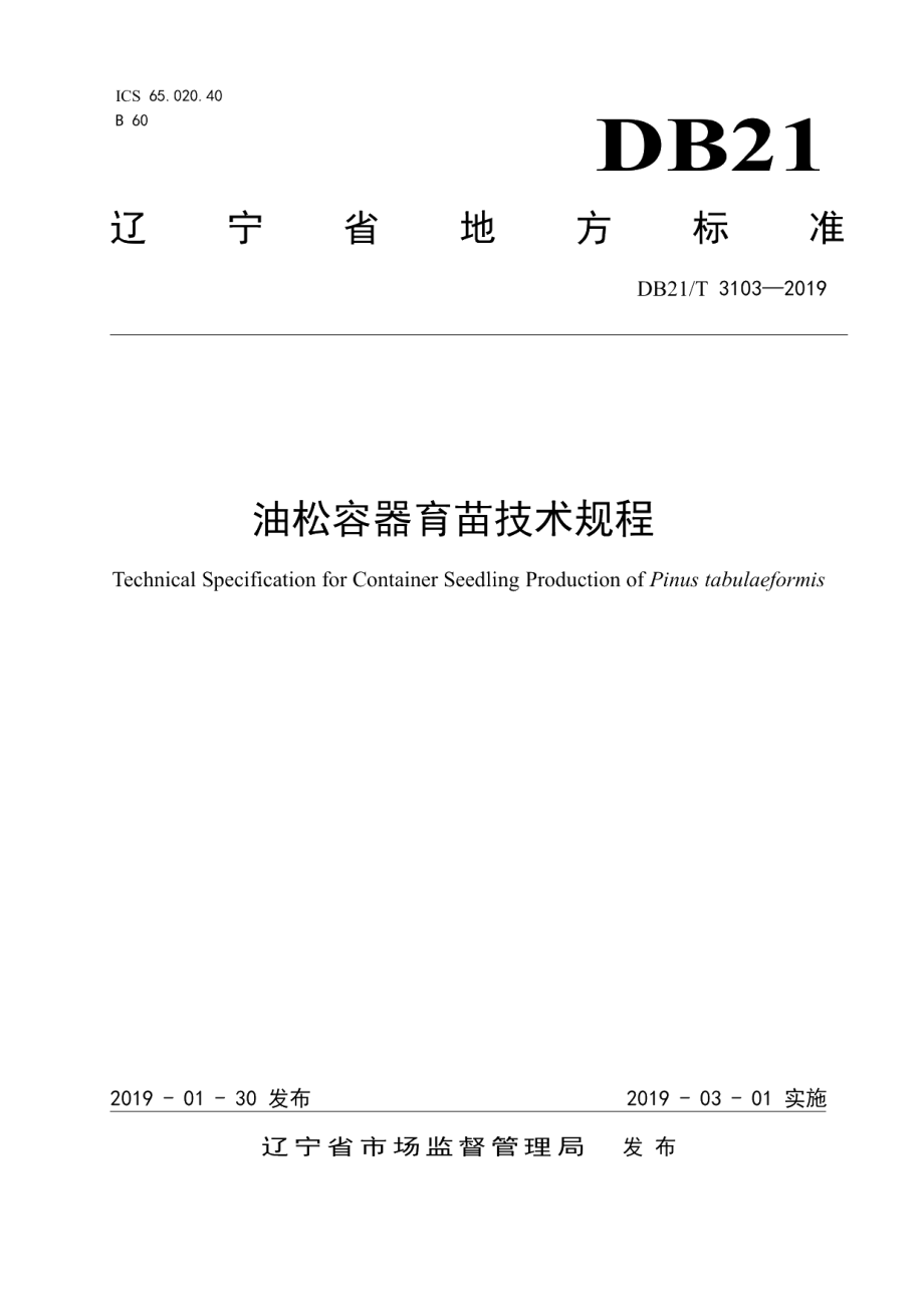 DB21T 3103-2019油松容器育苗技术规程.pdf_第1页