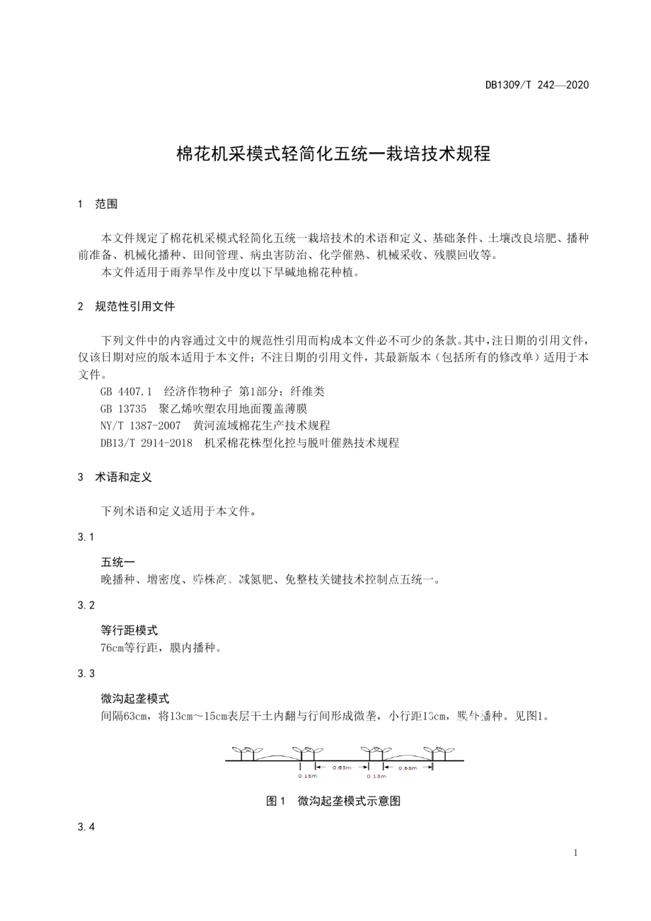 DB1309T 242-2020棉花机采模式轻简化五统一栽培技术规程.pdf_第3页