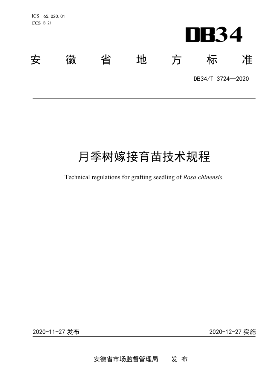 DB34T 3724-2020月季树嫁接育苗技术规程.pdf_第1页