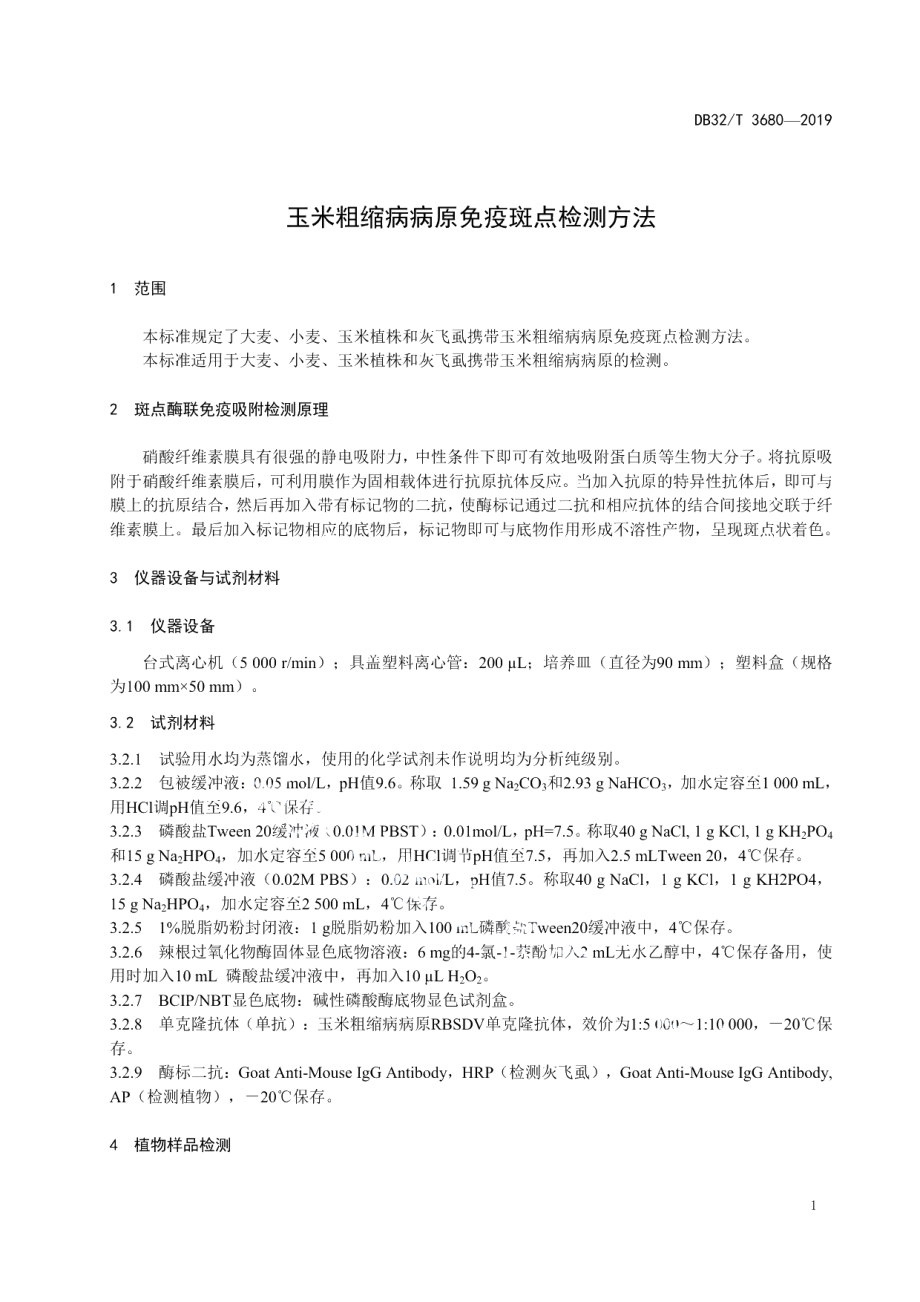 DB32T 3680-2019玉米粗缩病病原免疫斑点检测方法.pdf_第3页