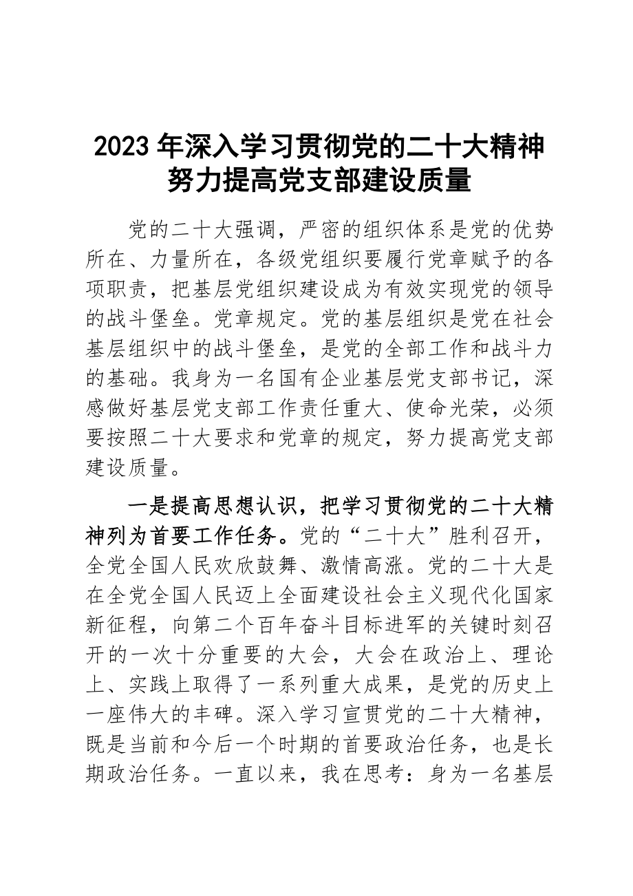 2023年党支部党课讲稿：深入学习贯彻党的二十大精神 努力提高党支部建设质量 .docx_第1页