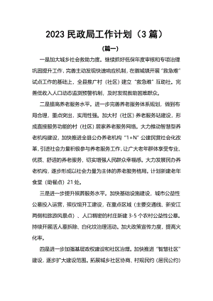 2023民政局工作计划（3篇）.docx