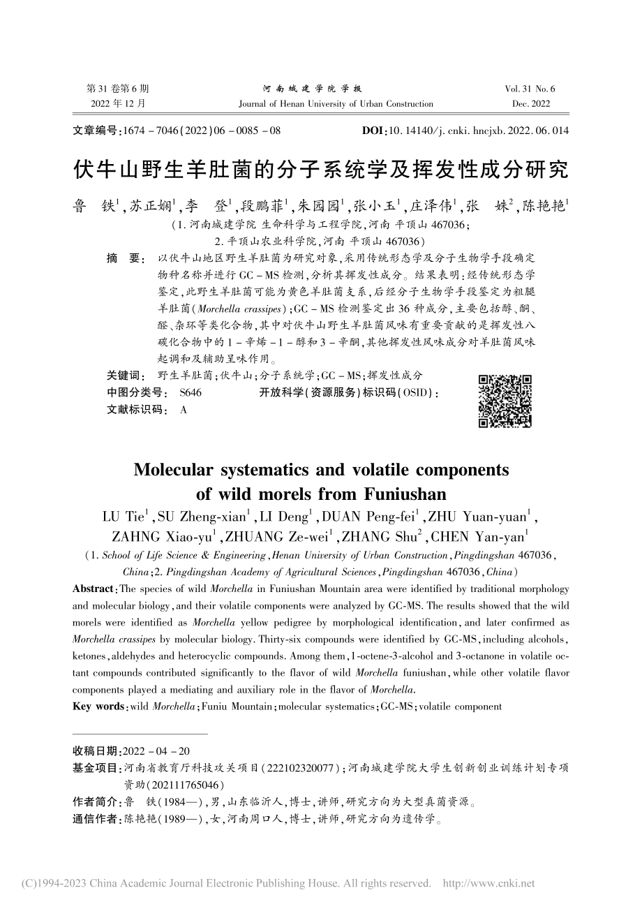 伏牛山野生羊肚菌的分子系统学及挥发性成分研究_鲁铁.pdf_第1页