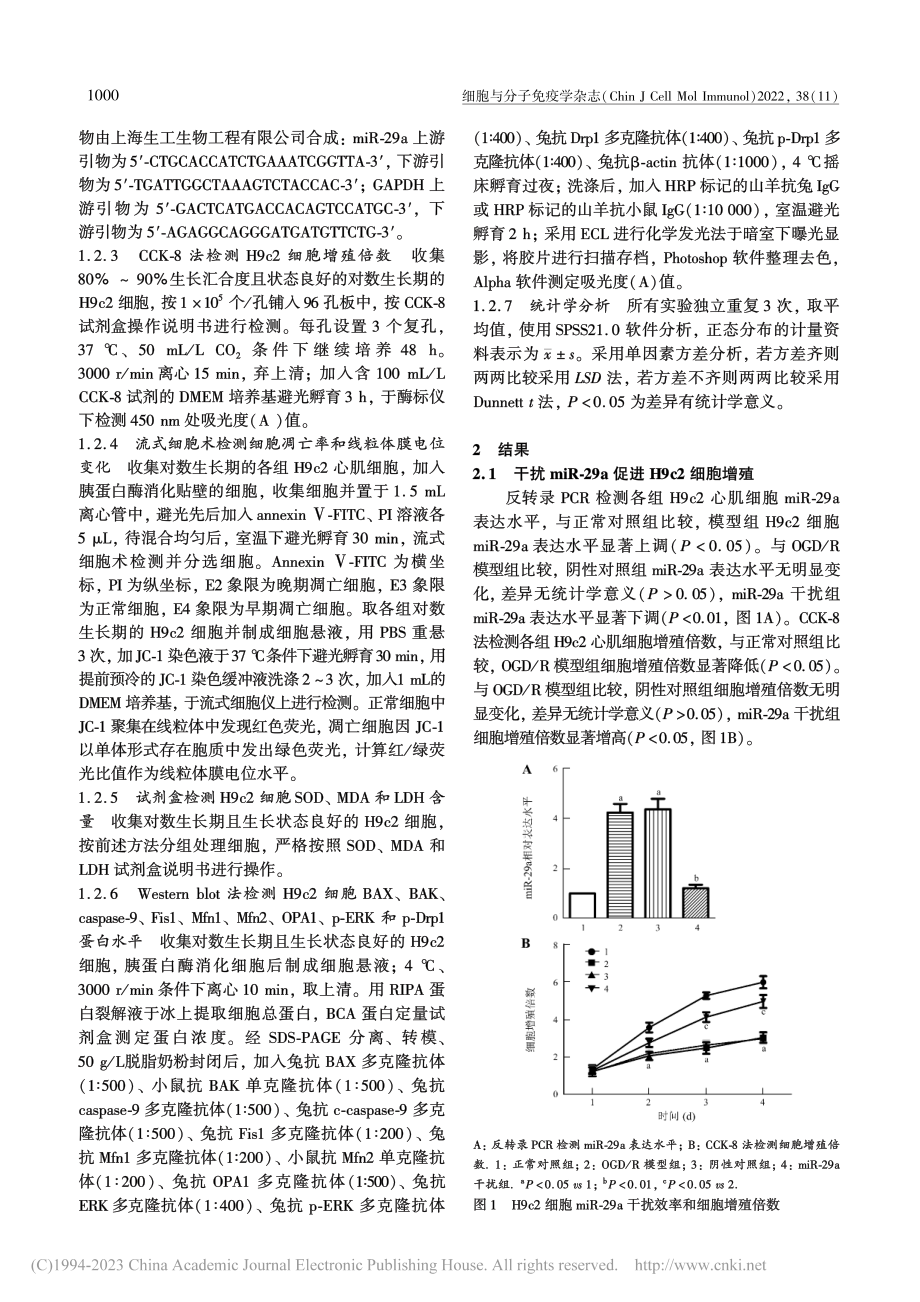 干扰miR-29a抑制氧糖...2心肌细胞线粒体融合与分裂_熊霞霞.pdf_第3页