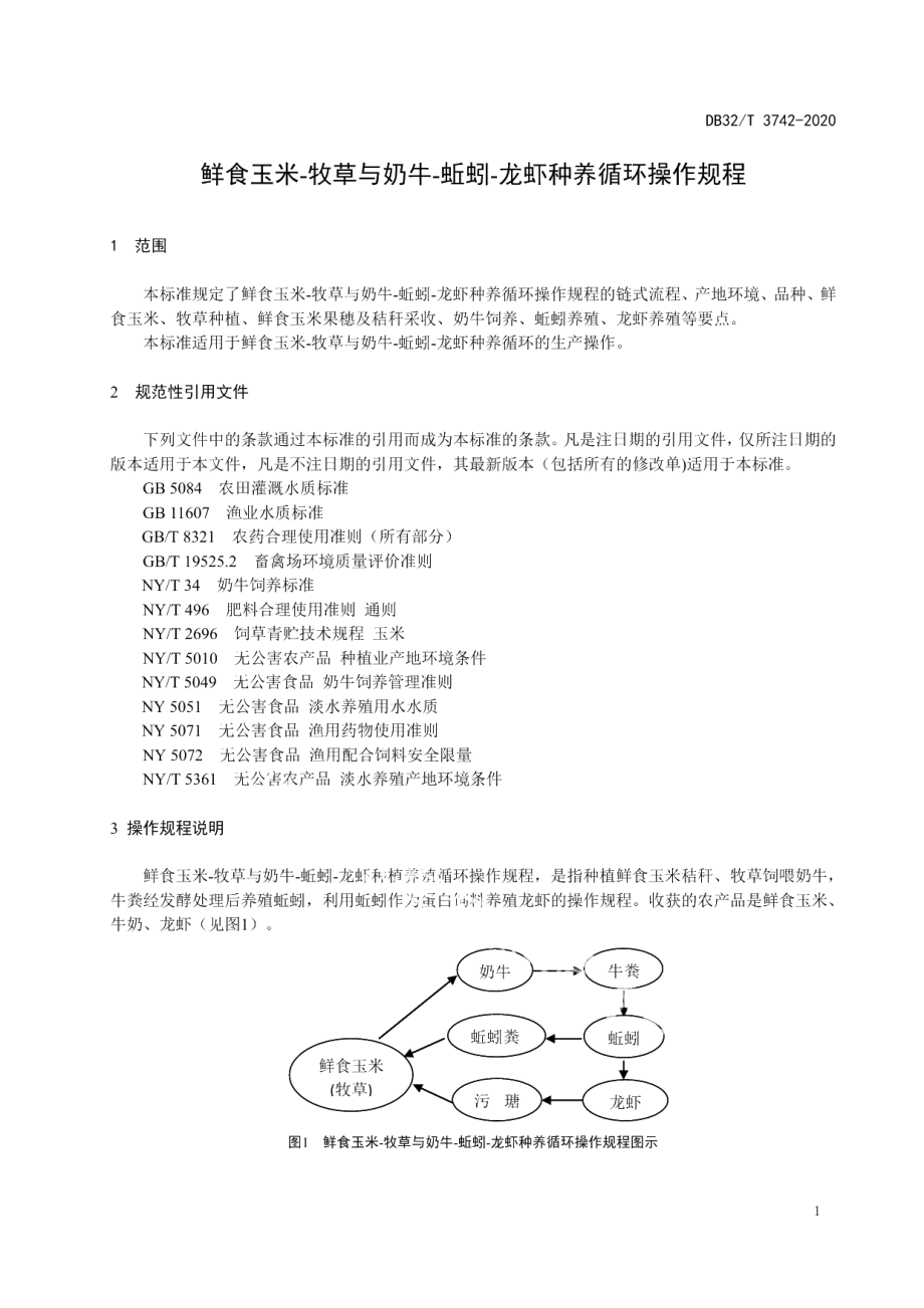 DB32T 3742-2020鲜食玉米-牧草与奶牛-蚯蚓-龙虾种养循环操作规程.pdf_第3页