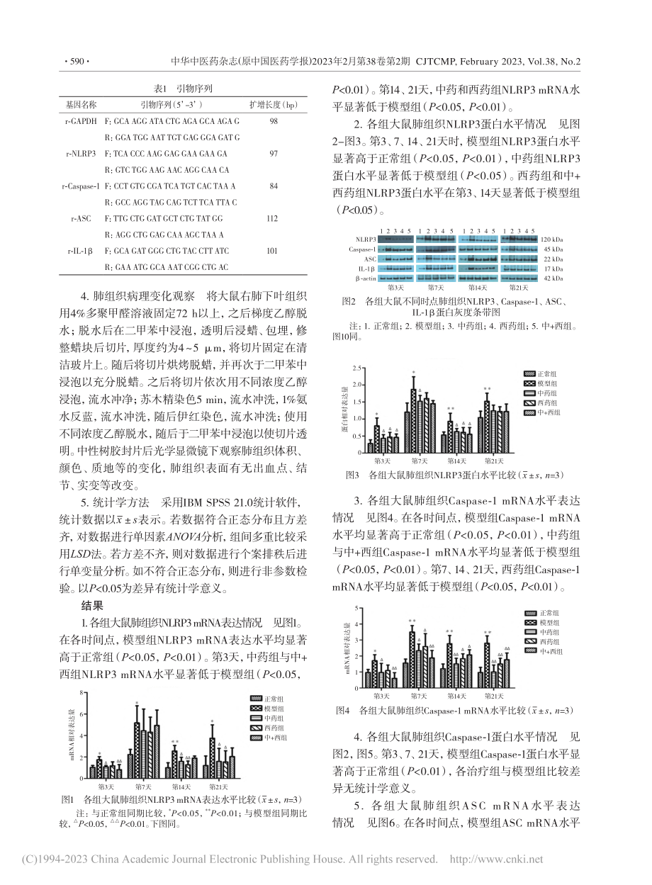 扶正解毒化瘀方通过NLRP...菌慢性肺炎肺损伤的作用机制_崔兰凤.pdf_第3页