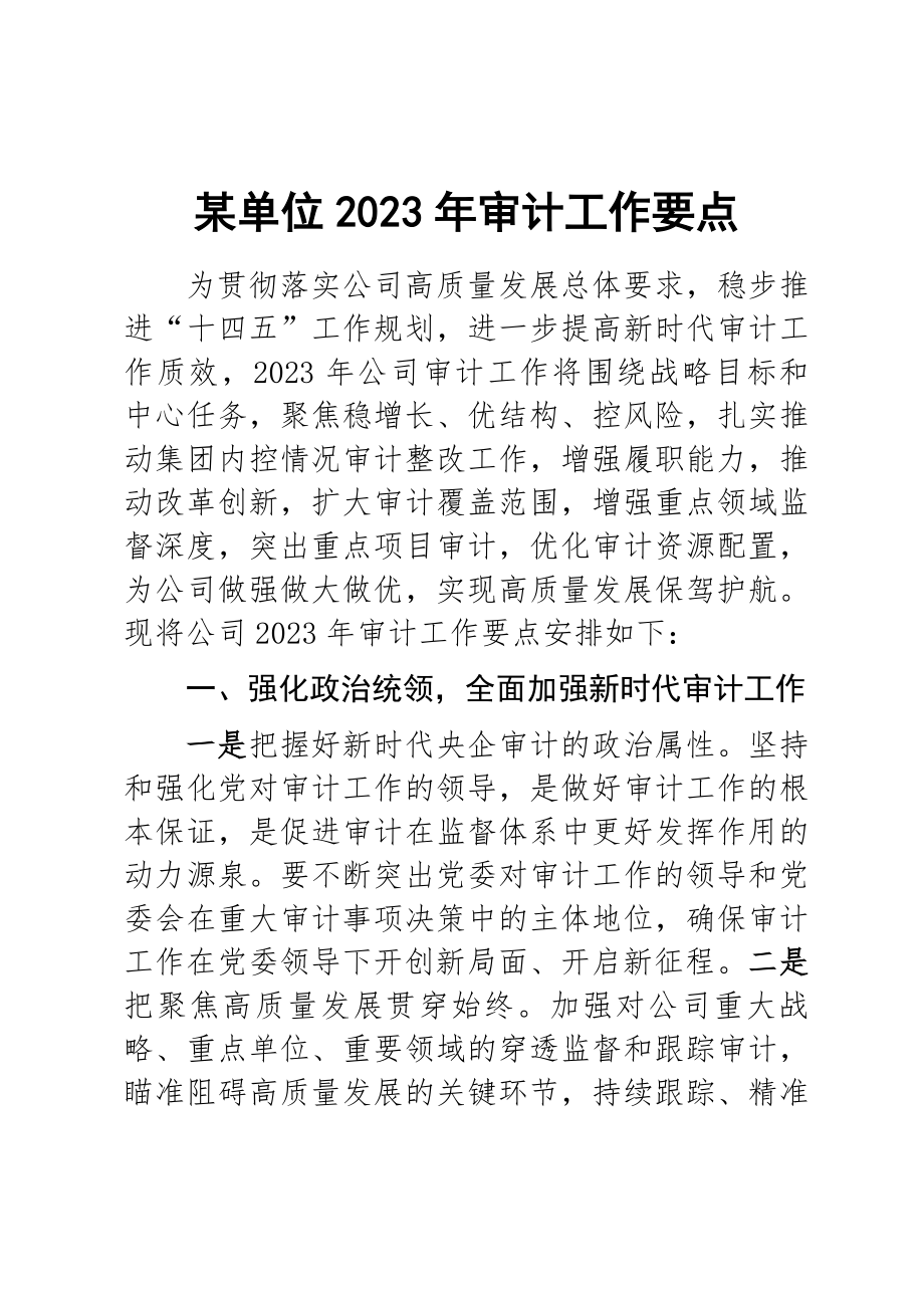 某单位2023年审计工作要点 .docx_第1页