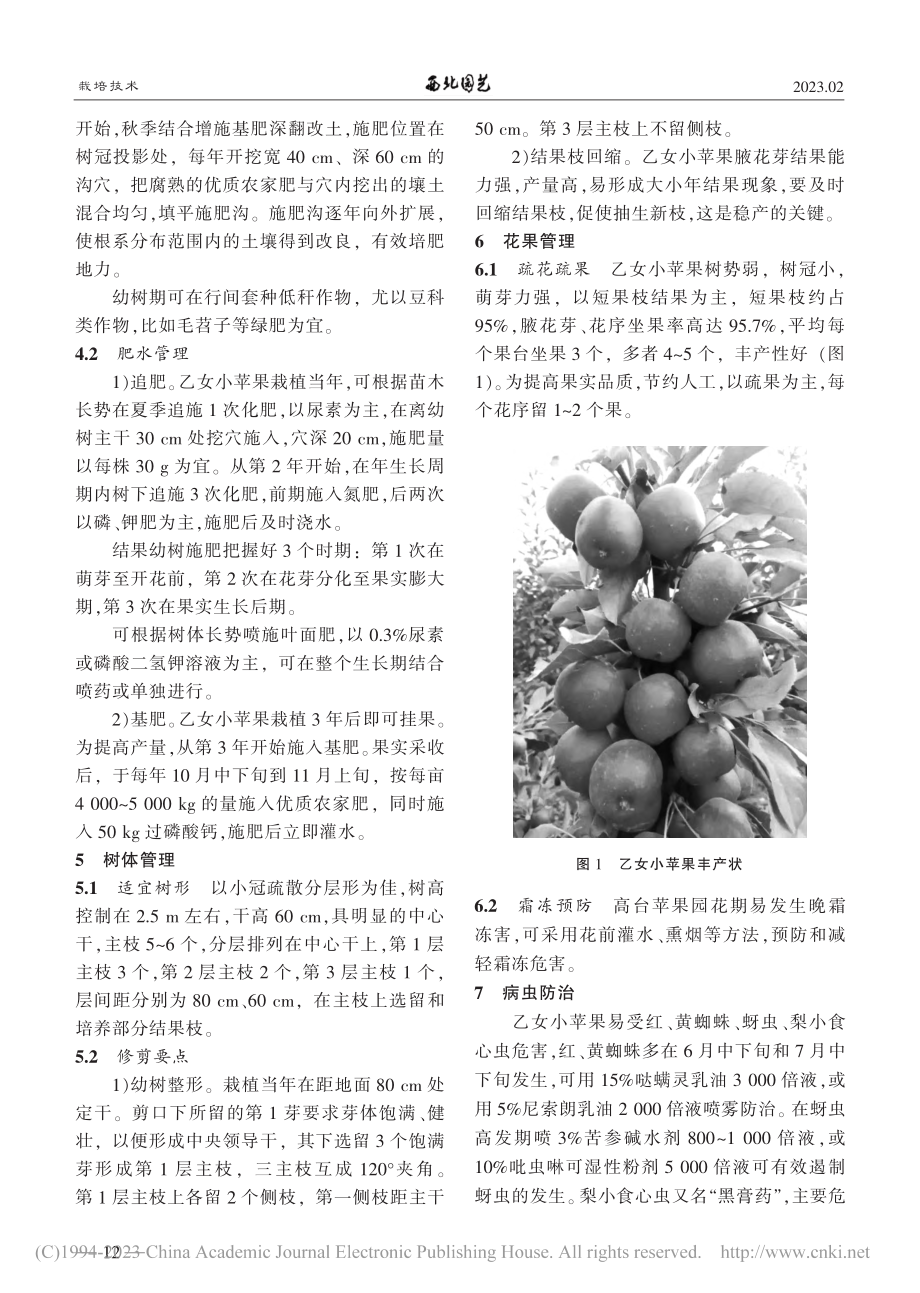 甘肃高台干旱沙地乙女小苹果栽培技术_万吉锋.pdf_第2页