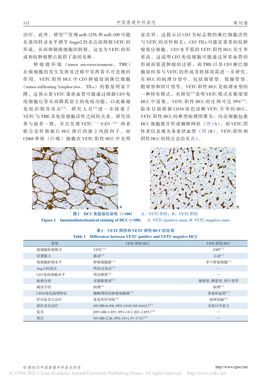 肿瘤包绕型血管在肝细胞癌中的研究进展_王苗苗.pdf_第3页