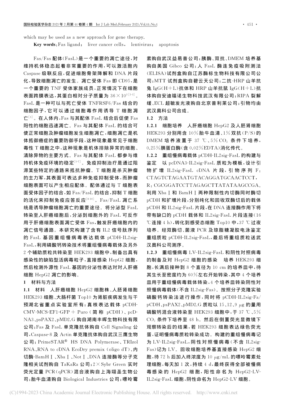 重组分泌型Fas配体对肝癌细胞株HepG2凋亡的影响_尚小玲.pdf_第2页