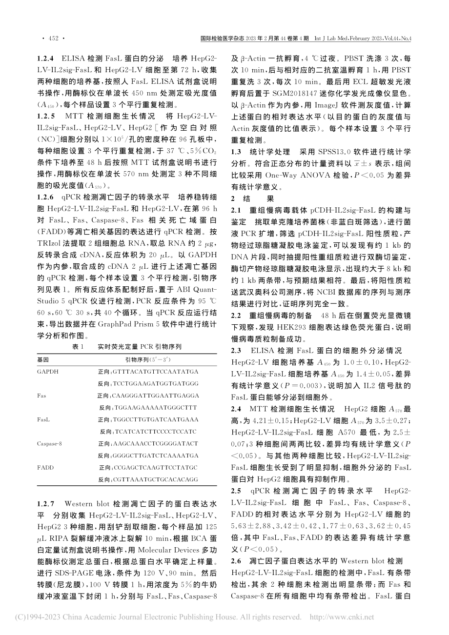 重组分泌型Fas配体对肝癌细胞株HepG2凋亡的影响_尚小玲.pdf_第3页